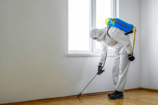Best Emergency Pest Control  in Newton, TX
