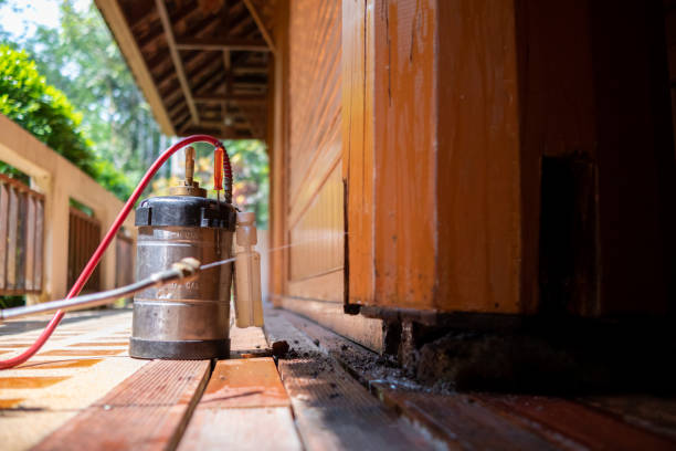 Best Best Pest Control Companies  in Newton, TX