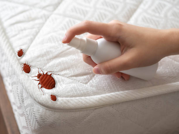 Pest Control for Restaurants in Newton, TX