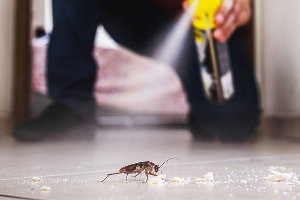 Best Pest Control for Businesses  in Newton, TX