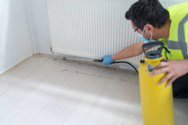 Best Mosquito Control Services  in Newton, TX