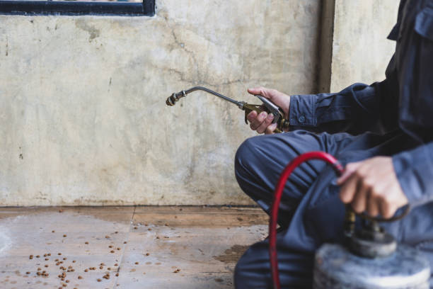 Pest Control for Restaurants in Newton, TX